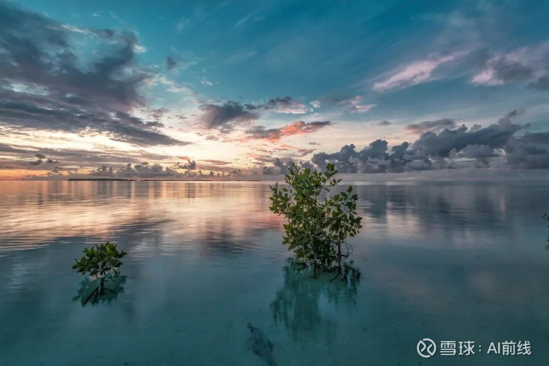 Uber 探索利用图学习模型解决欺诈检测问题作者 Uber 工程博客译者 