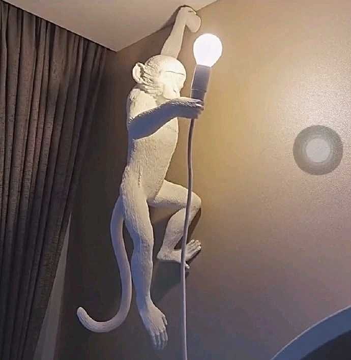 猩猩点灯照亮我的家门