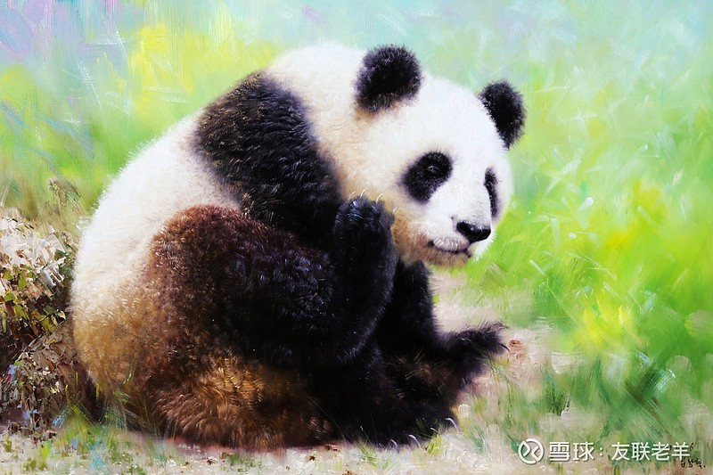 熊猫一组新创作的30号油画尺幅9060厘米左右