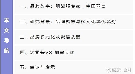 多元化还是聚焦|国潮的崛起u2014波司登转型背景下品牌发展路径研究u2014u2014以