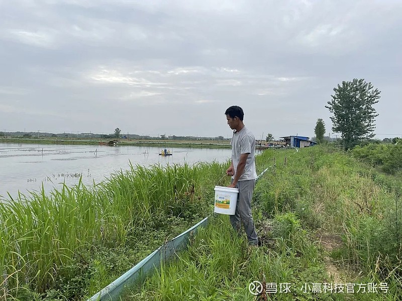 养虾投10万大约赚多少 农村养虾需要什么条件