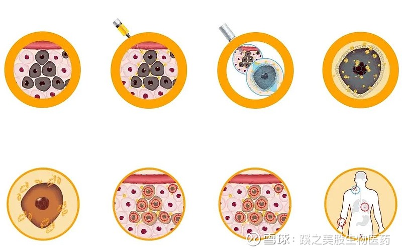 BioNews | OncoSec：联合默克KEYTRUDA®，推进III期TAVO™ 治... 作者：林出 微信公众号：蹊之美股生物医药 ...