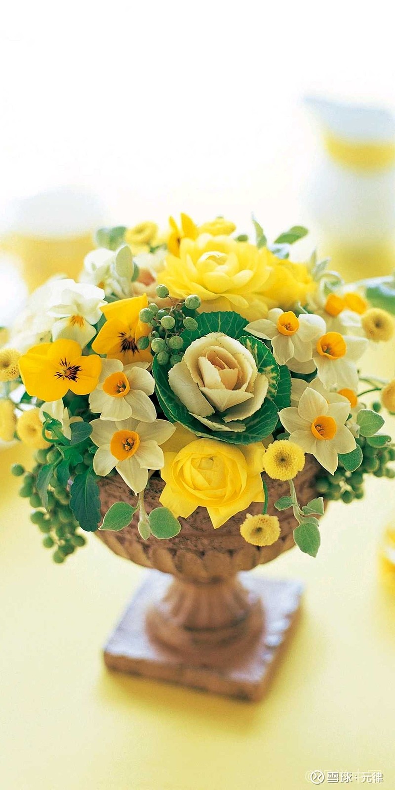 为什么我要设置3日关注