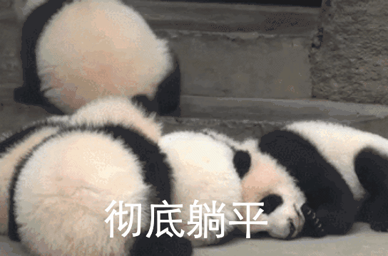 什么是内卷?