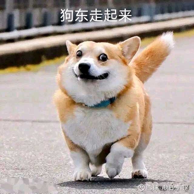 17aa0a1a23c644e63fc699a2.jpeg!800.jpg