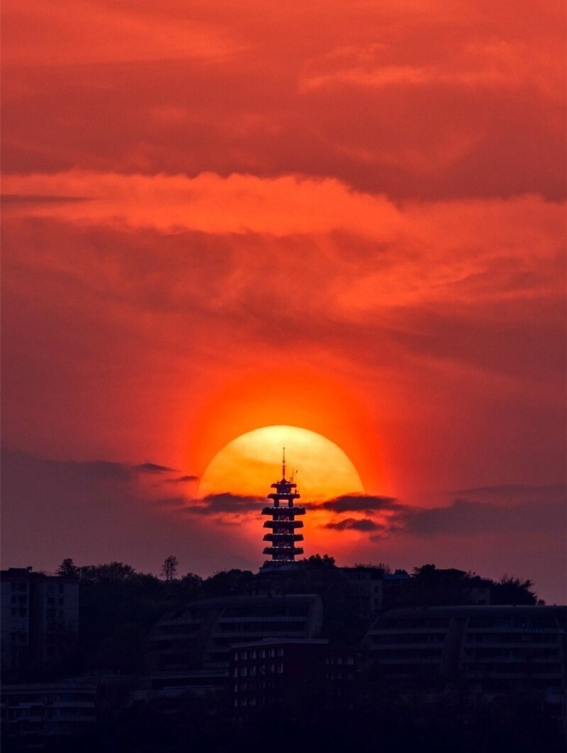 夕阳楼阁半山红