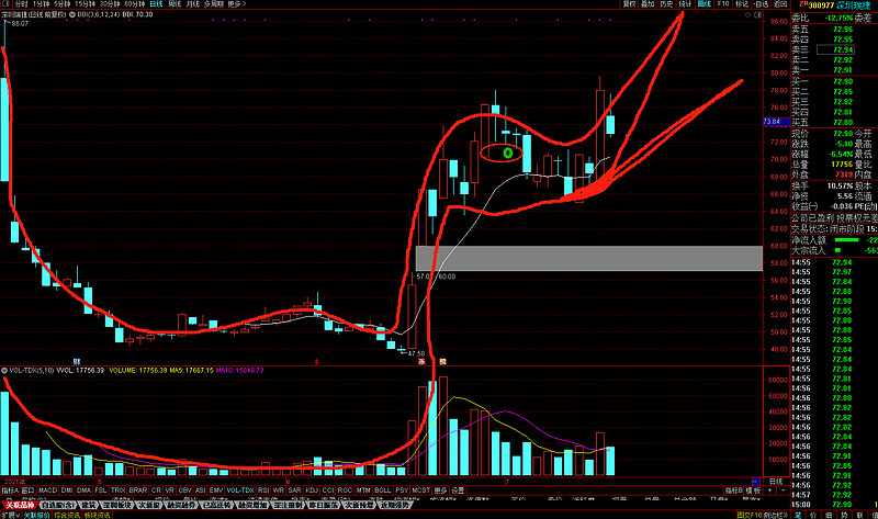 $深圳瑞捷(sz300977)$ 鹅鹅鹅,曲项向天歌 - 雪球