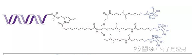 n-乙酰半乳糖胺(galnac) 基于特定化学修饰的靶向递送这一类递送技术