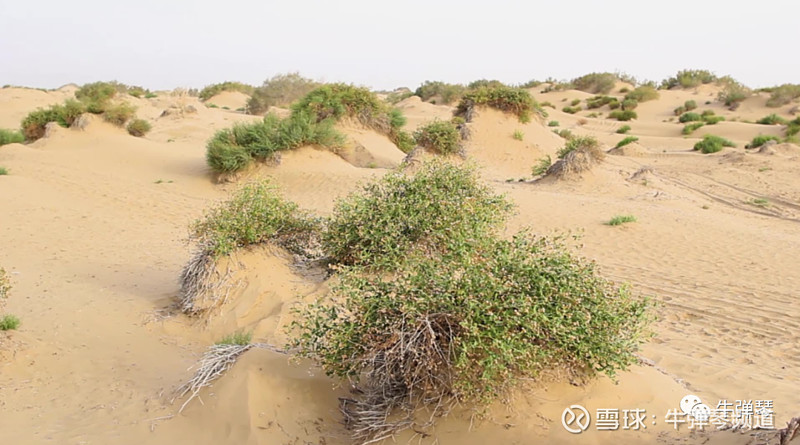 这件事,从一粒种子说起