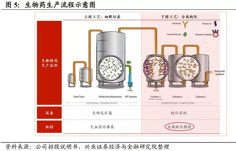 中式食物加工与配备立异团队从肌纤维形状演化与水分搬迁视点阐释了盐对预制调度牛肉冷冻-冻住-烹饪质量的影响机制