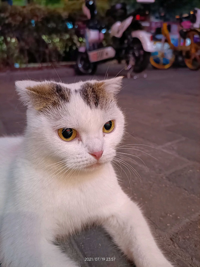 年糕猫 07-20 00:03 android 转发:0 回复:10 喜欢:1 全部评论