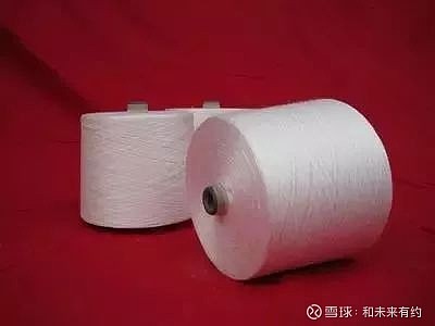 .氨纶|谁能给我引见下这些布料的好处和缺陷?|尼龙|羊毛.晴纶.涤纶.棉纶|莱卡 (氨纶怎么样)