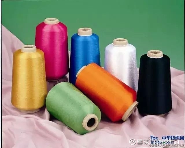 哪个好|棉纶|涤纶 (棉纶质量好吗)