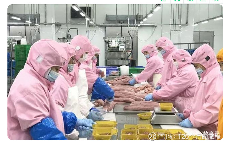 中粮家佳康的基本面分析 中粮家佳康 牧原股份 Sz 猪肉板块 误打误撞进入养猪行业 发现了一只小股票中粮