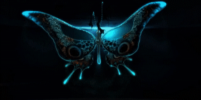 记着有时蝴蝶扇一下翅膀不是谁都经得起的!