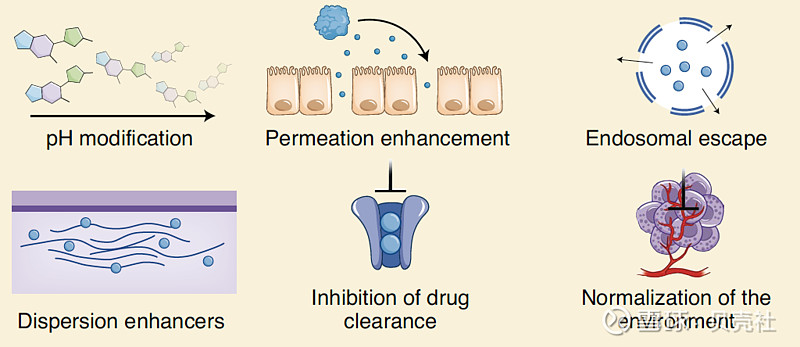 environmental modifications小分子藥物可以通過添加增溶賦形劑,增加