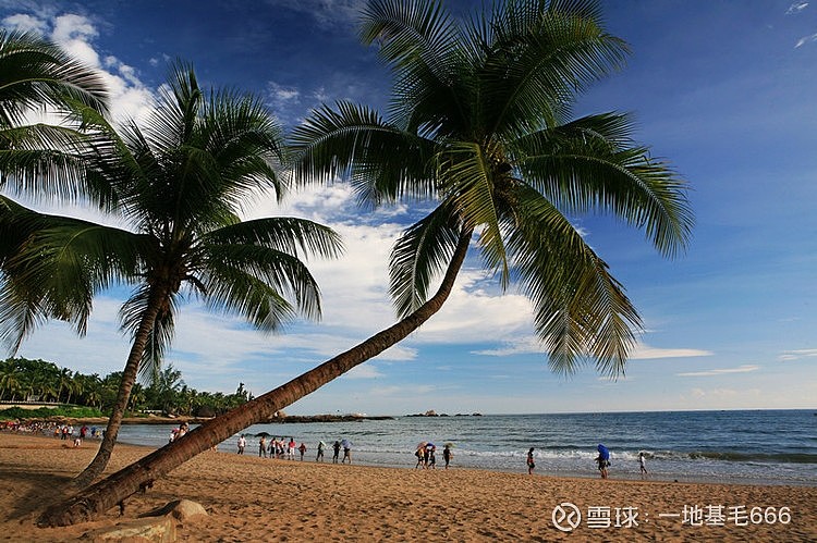 【 海南椰島 上半年實現扭虧為盈】海南椰島披露半年度報告,公司2021