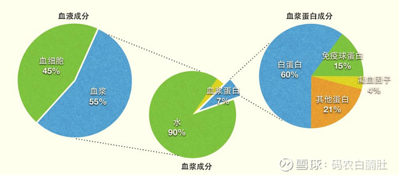 血制品行业初步研究 一 一 血制品简介人体血液一般情况下男士占休重的8 女士占休重的7 5 主要由血细胞 这里面主要是我们平常说的红细胞