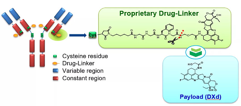 阿斯利康/第一三共申报TROP 2 ADC 7月29日，第一三共TROP2抗体偶联药物DS-1062a（Dato-DXd ...