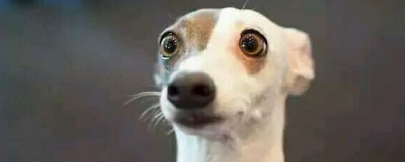 惊张坤疑似清仓中概股