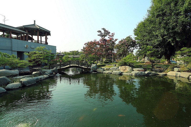 春风又绿江南岸大战机器人