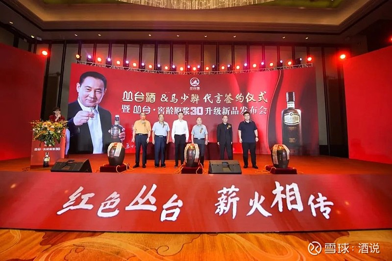 启动代言登陆央视战略发布看丛台酒业的新动作