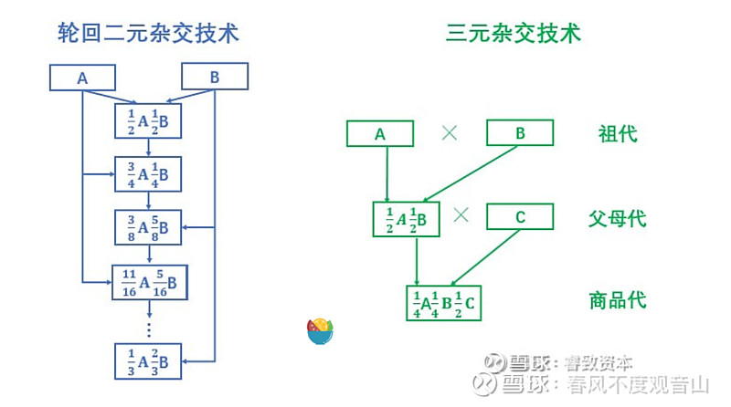 生猪养殖系列之四——轮回二元