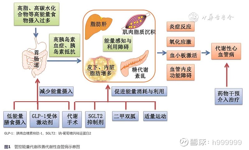 心血管代谢综合征# 转: 作者:祝之明 陆军军医大学大坪医院全军高
