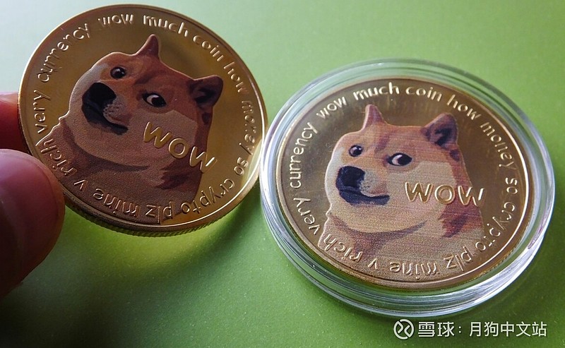 moondoge人生就是陪上帝玩游戏allin比特币没戏不allinmodo更没戏