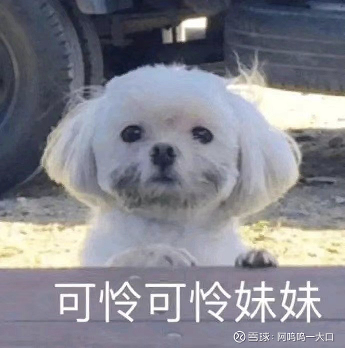 孩子查你是关心你元卫南2021-08-17 17:35孩子不要让他接触手机和电脑