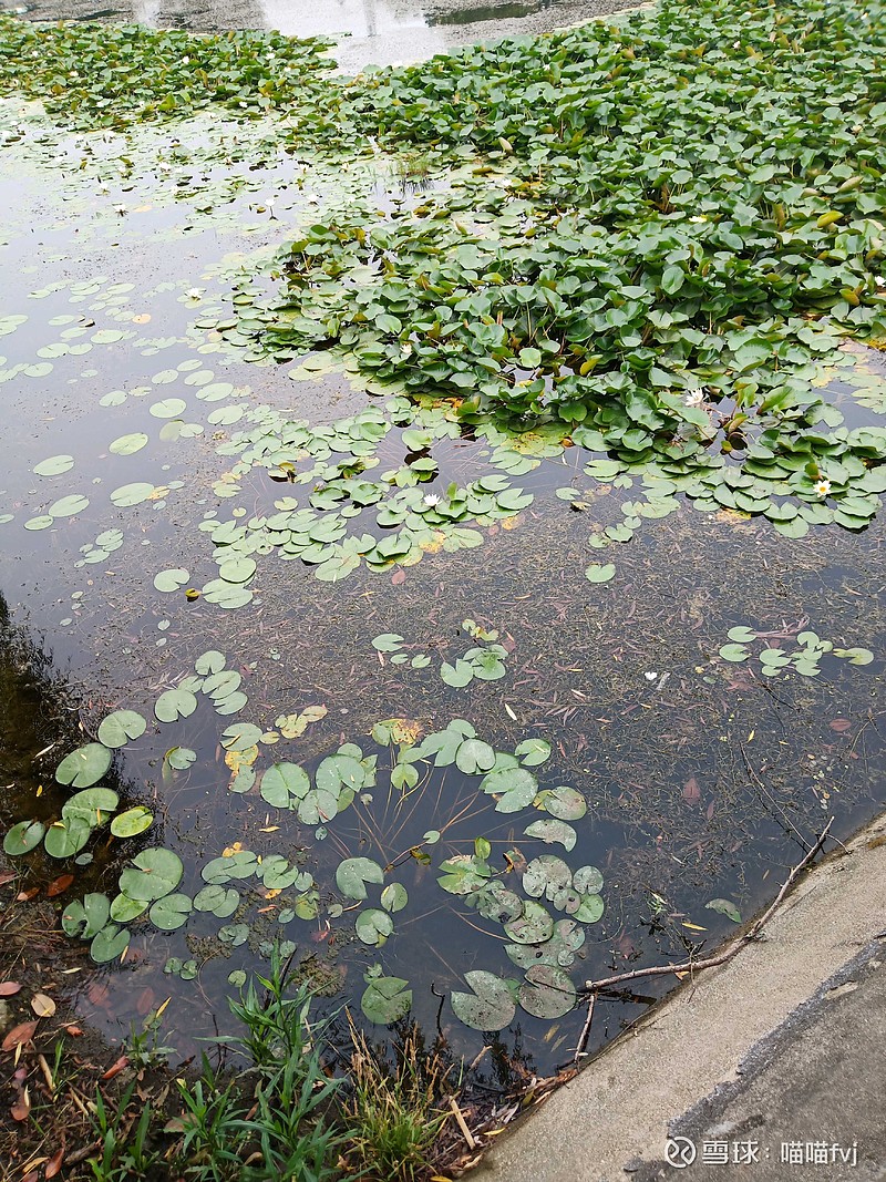 比惨大会已经开始…<br/>有