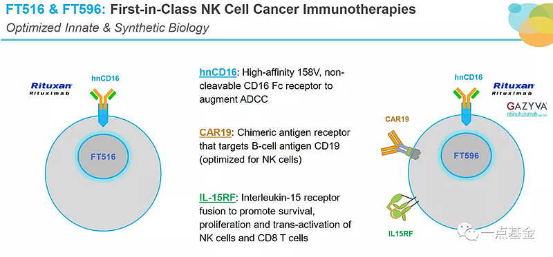 NK细胞疗法临床数据公布，长期疗效不及CAR-T 8月19日，Fate Therapeutics公布了两款NK细胞疗法FT596、FT516 ...