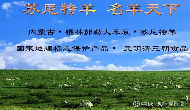 看地理标志产品苏尼特羊肉如何投放广告宣传打造品牌