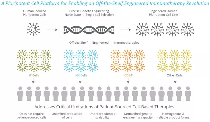 Fate therapeutics обзор