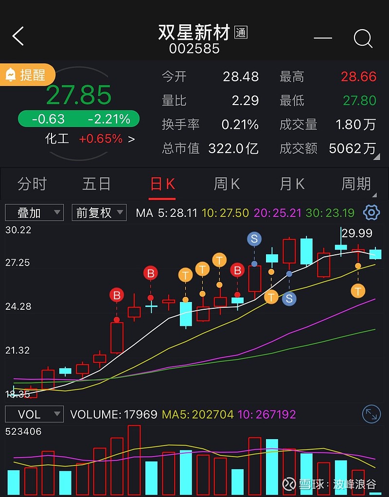 双星新材雪球图片