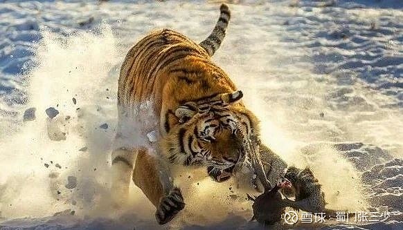 各种减持猛如虎!受伤的总是我们小散