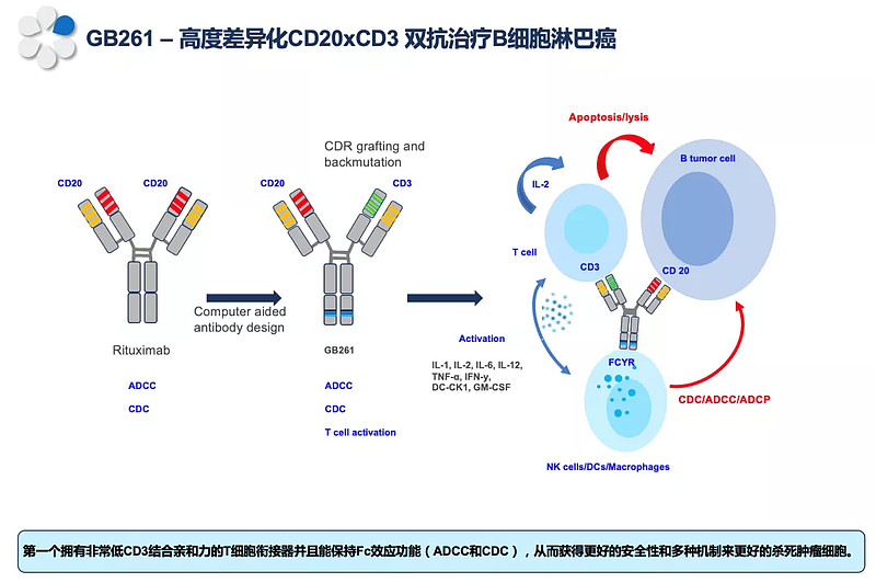 嘉和生物-B高度差异化CD20/CD3双抗，实现首次人体临床试验首例患者入组 双特异性抗体（BsAb）能够结合两种不同的抗原，或结合同一抗原的 ...