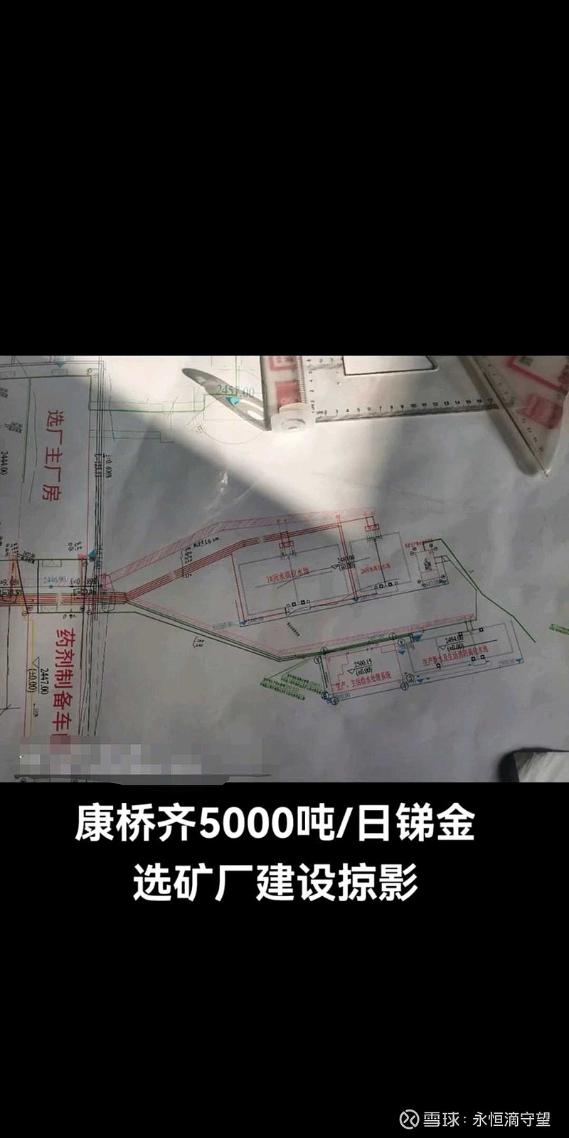 17ba750c0bf280b3fc100328.jpeg!800.jpg