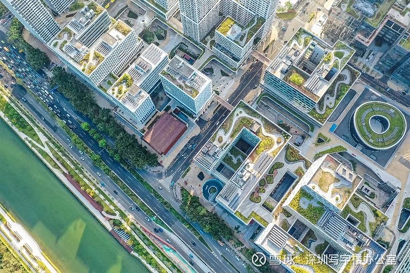 深圳湾科技生态园解封图片