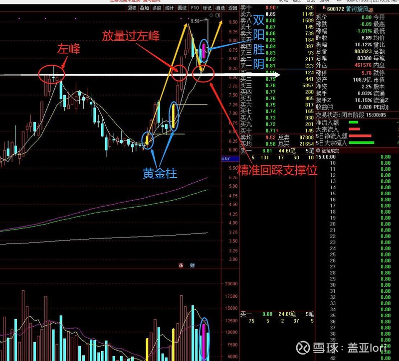 走势分析(1)蓝色标注,两根黄金柱,每次回踩都没有破黄金线.