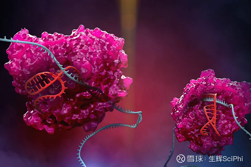 在不接触人类 rna 的情况下切除冠状病毒或 hiv 等基于 rna 的病毒