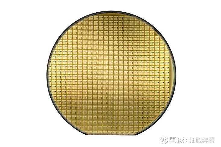 半导体订单爆满晶圆代工厂涨势不停歇