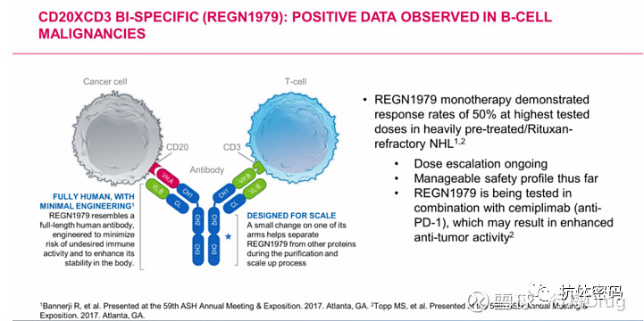 CD20 X CD3双特异抗体格局 近日，Genmab和艾伯维宣布其靶向CD20xCD3的双特异抗体epcoritamab（GEN3013）在 ...