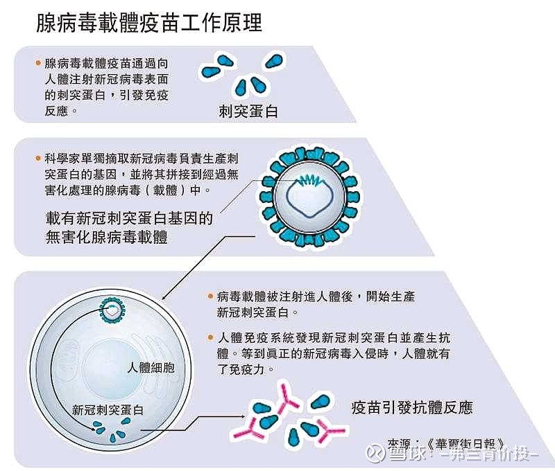 重組新冠疫苗(腺病毒載體)是一種以人複製缺陷型腺病毒為載體的重組