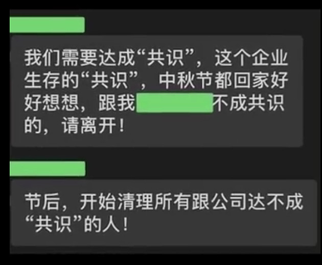 似乎为了证明自己的所说非虚,这位领导还在群里现场开除了一名员工.