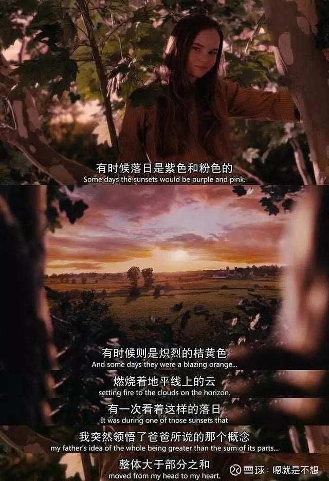 有一天你会遇到一个彩虹般绚丽的人——《怦然心动》 花开时节,想见你