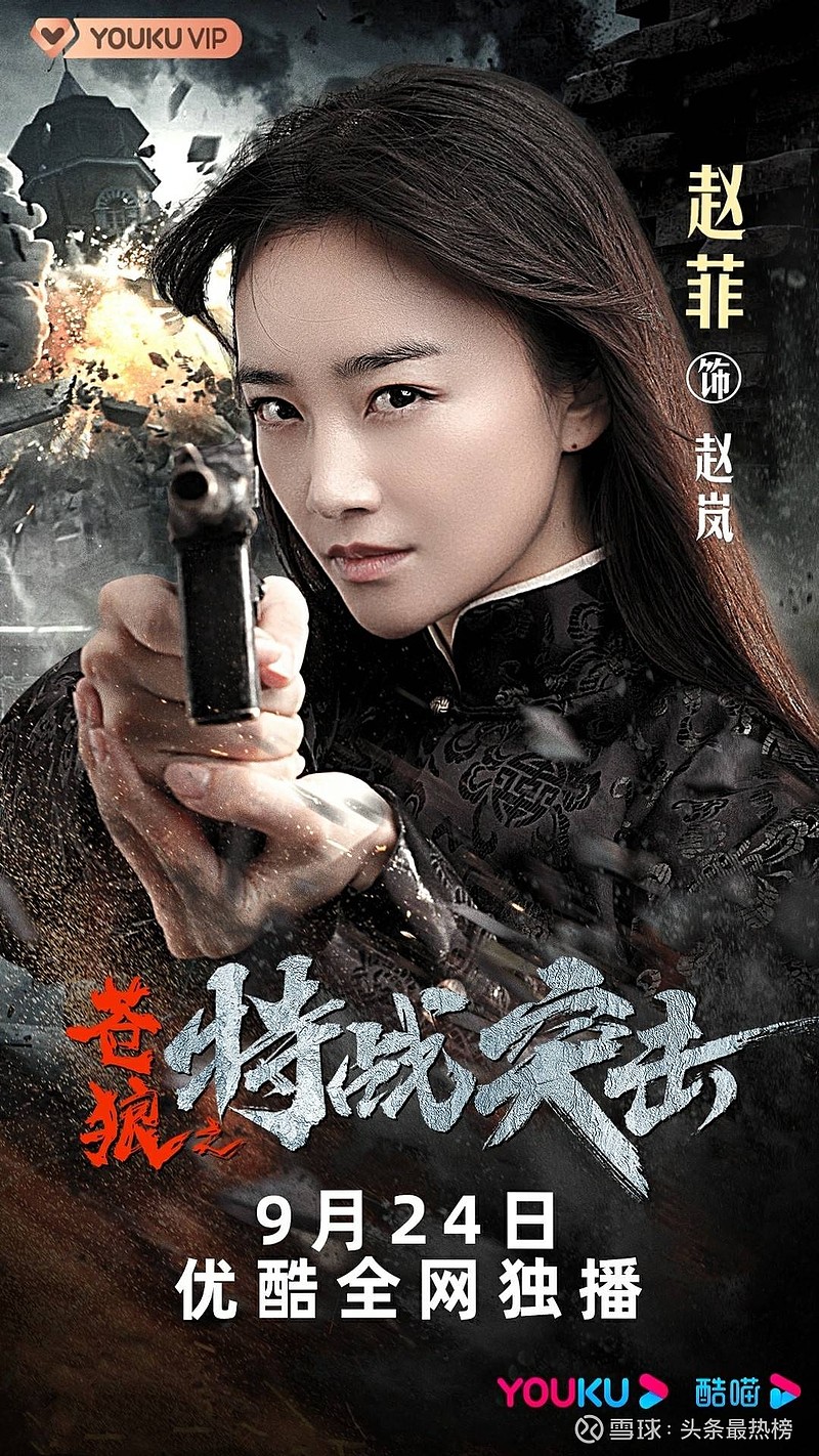 《苍狼之特战突击》依据电视剧《苍狼》进行改编,由原班人马演绎,故事