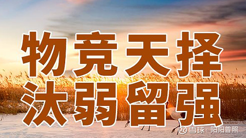 物竞天择,适者生存!有进化能力的人和公司没有天花板