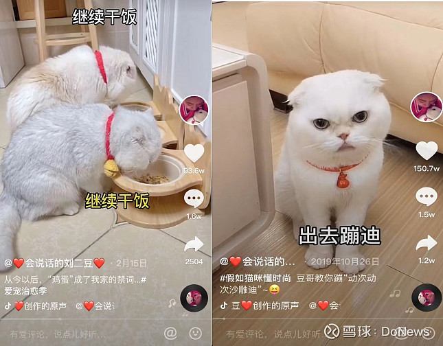 猫猫狗狗都能直播带货mcn机构到底有多内卷