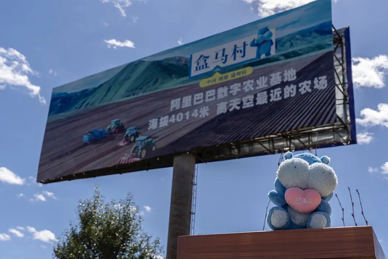 十一餐桌上,多了一抹红-科记汇